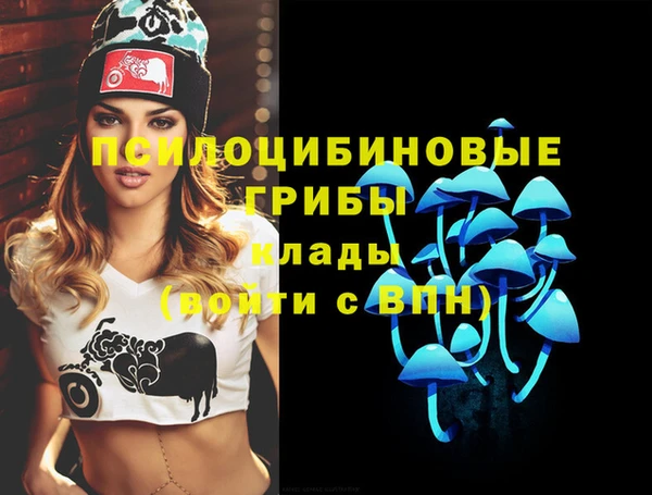 стафф Беломорск